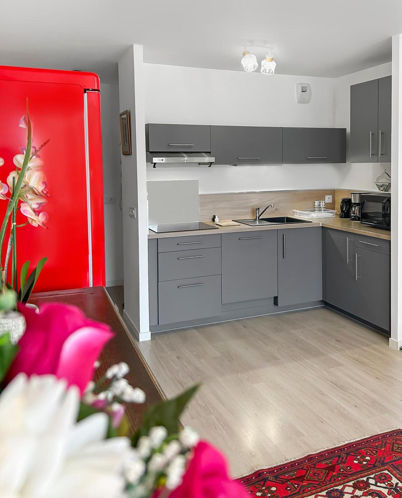 Appartement Balcon Prive & Deco Elegante Le Mans